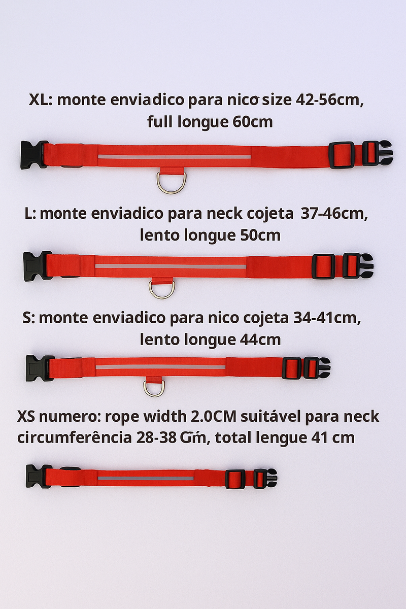 Coleira de Nylon com LED Luminoso