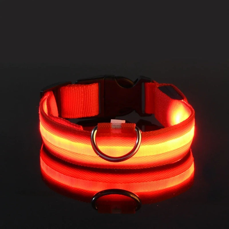 Coleira de nylon led noite segurança piscando brilho no escuro coleira para cães de estimação luminosa fluorescente acessórios para cães coleira
