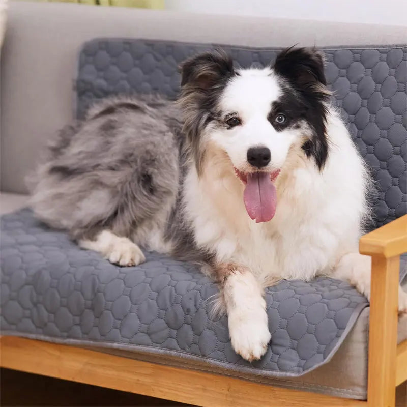 Tapete de urina para cachorro, reutilizável, lavável, assento de carro, sofá, à prova d'água, absorvente, filhote de cachorro, gato, treinamento, fralda, suprimentos para animais de estimação