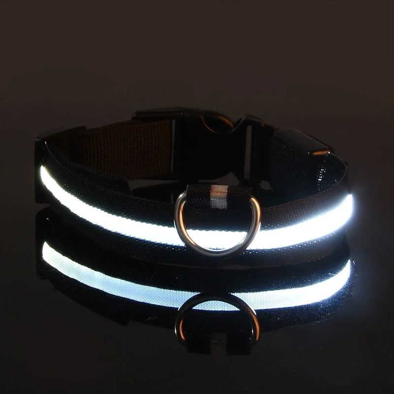 Coleira de nylon led noite segurança piscando brilho no escuro coleira para cães de estimação luminosa fluorescente acessórios para cães coleira
