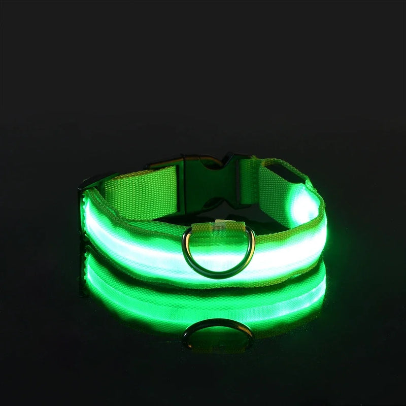 Coleira de nylon led noite segurança piscando brilho no escuro coleira para cães de estimação luminosa fluorescente acessórios para cães coleira