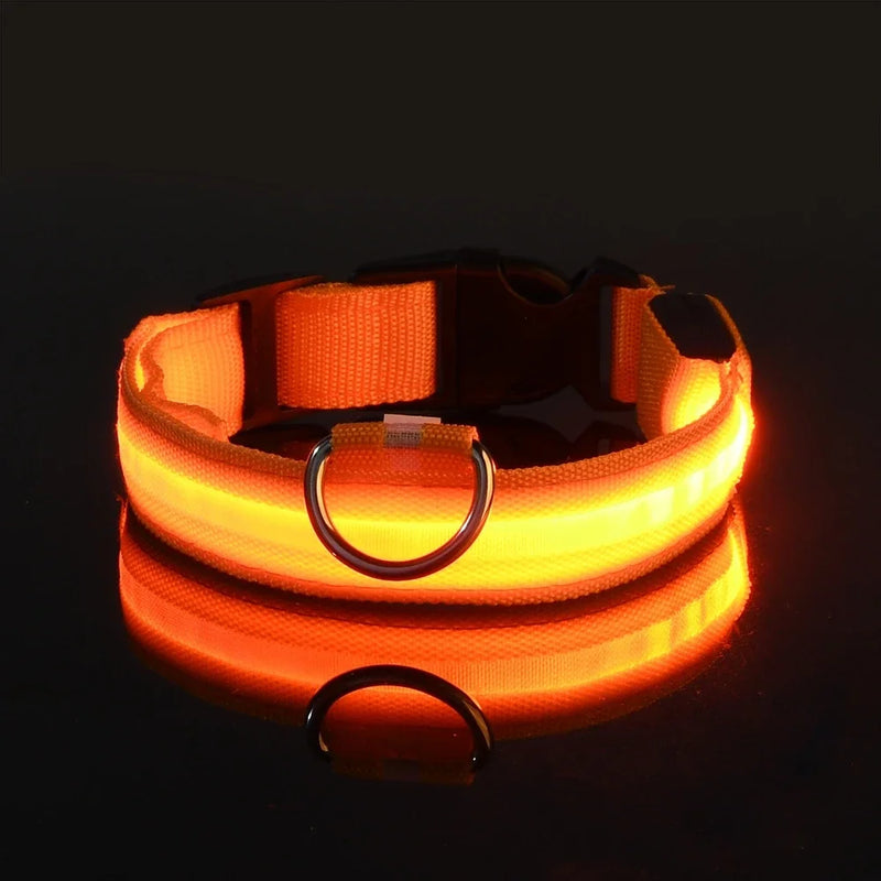Coleira de Nylon com LED Luminoso