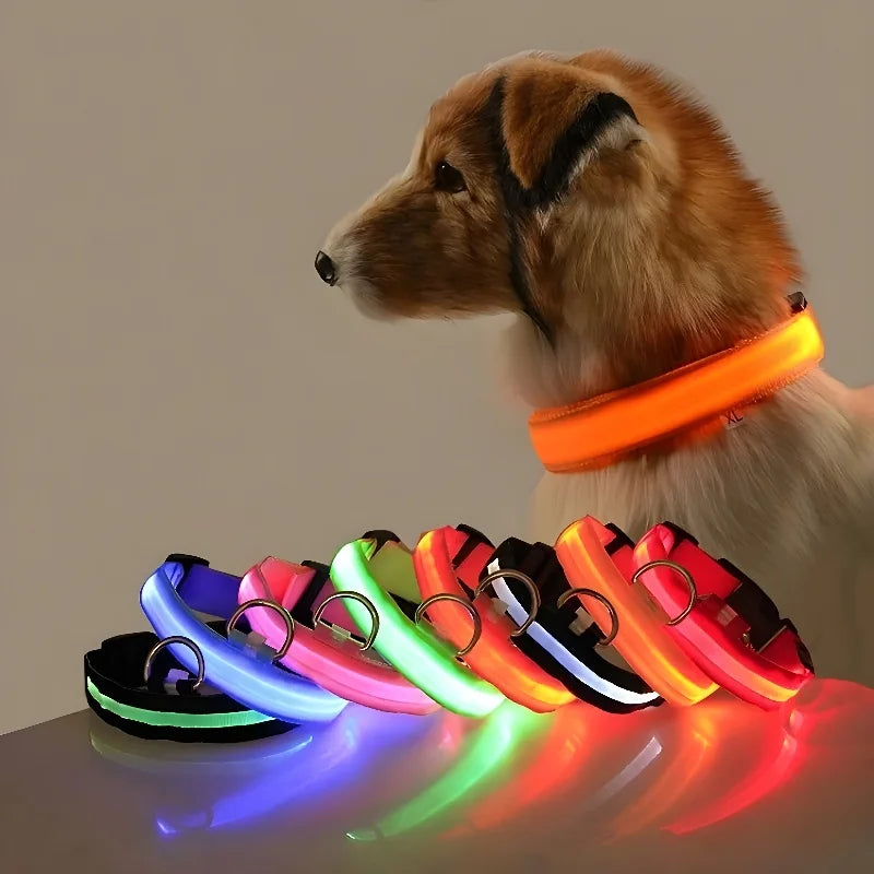Coleira de nylon led noite segurança piscando brilho no escuro coleira para cães de estimação luminosa fluorescente acessórios para cães coleira