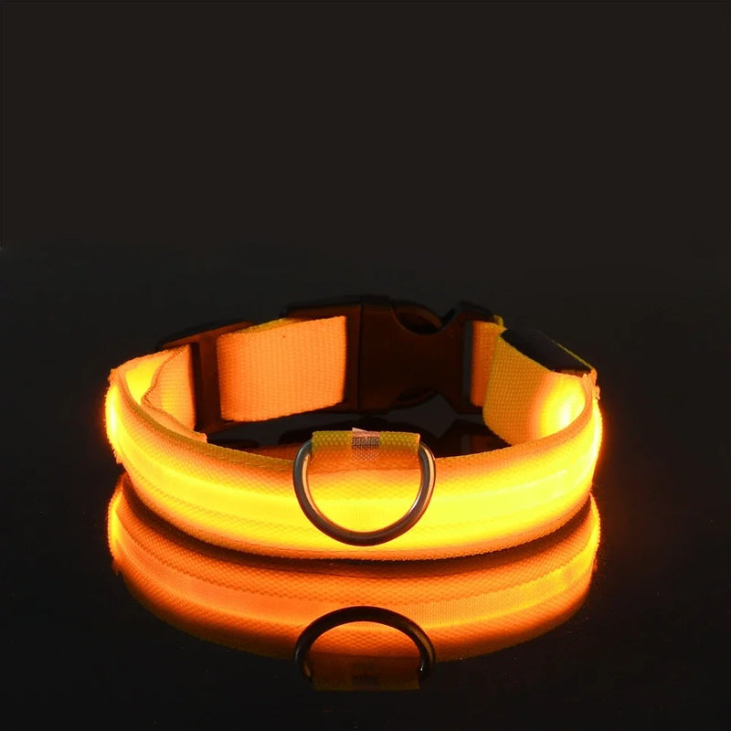 Coleira de nylon led noite segurança piscando brilho no escuro coleira para cães de estimação luminosa fluorescente acessórios para cães coleira